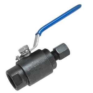 Ferrule ball valve